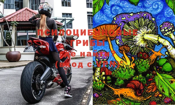 амф Абдулино