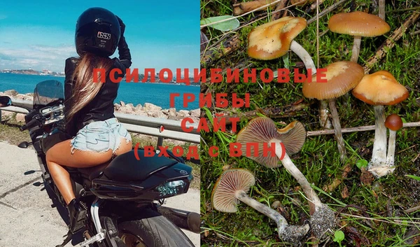 марихуана Абинск