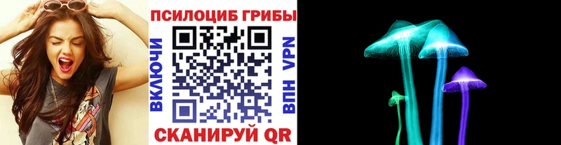 Псилоцибиновые грибы GOLDEN TEACHER  Псков 